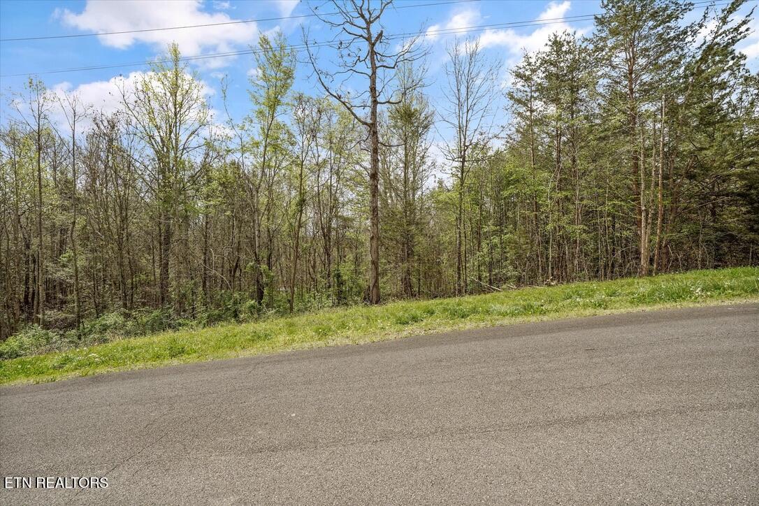1433 Timber Trail Newport TN 37821