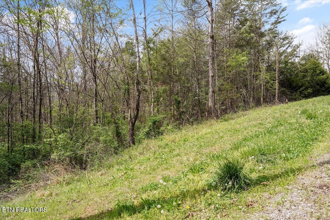 1433 Timber Trail Newport TN 37821
