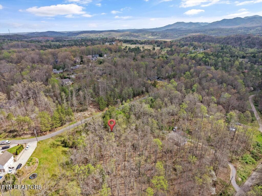 1433 Timber Trail Newport TN 37821