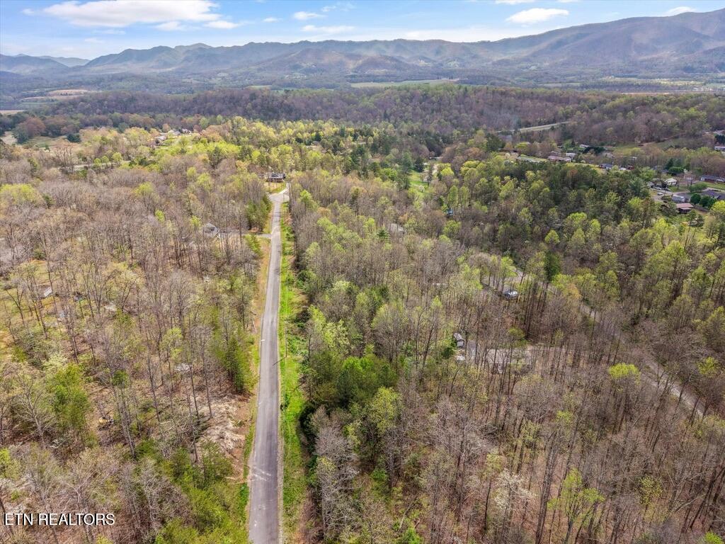 1433 Timber Trail Newport TN 37821