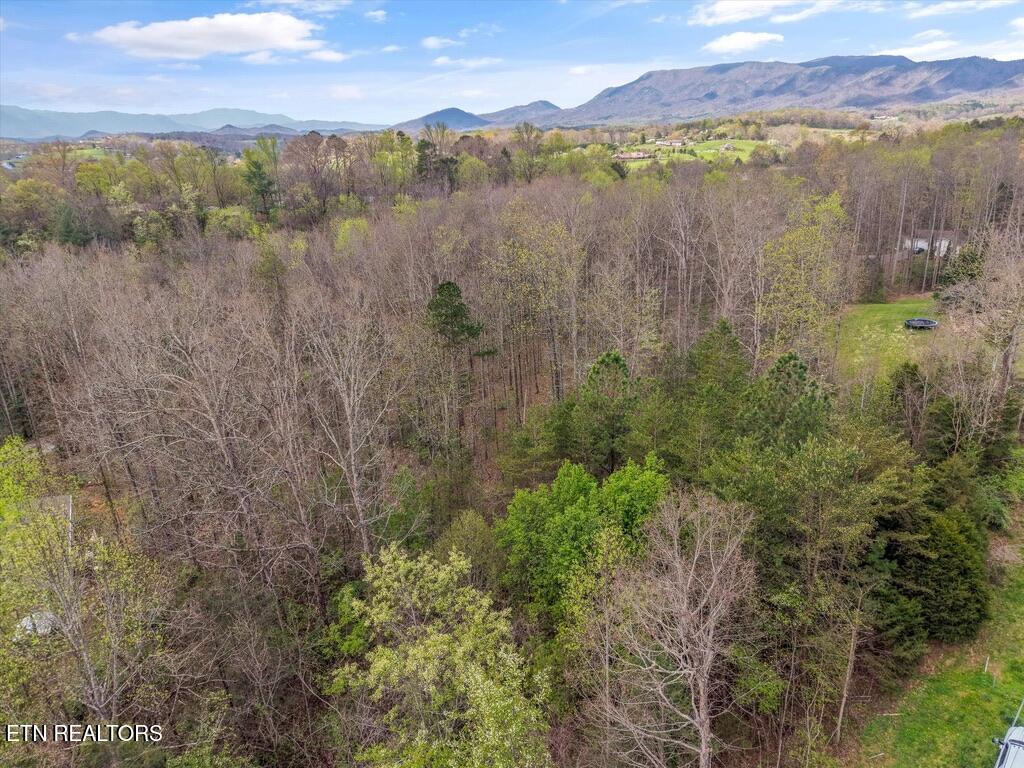 1433 Timber Trail Newport TN 37821