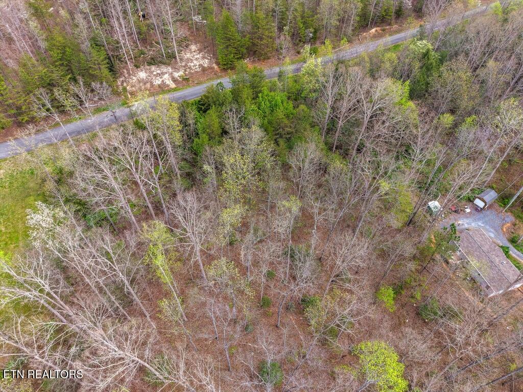 1433 Timber Trail Newport TN 37821
