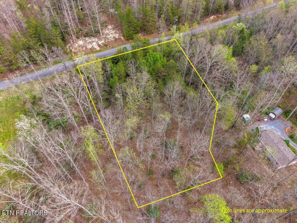 1433 Timber Trail Newport TN 37821