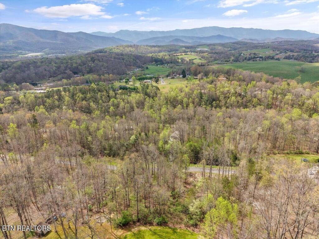 1433 Timber Trail Newport TN 37821