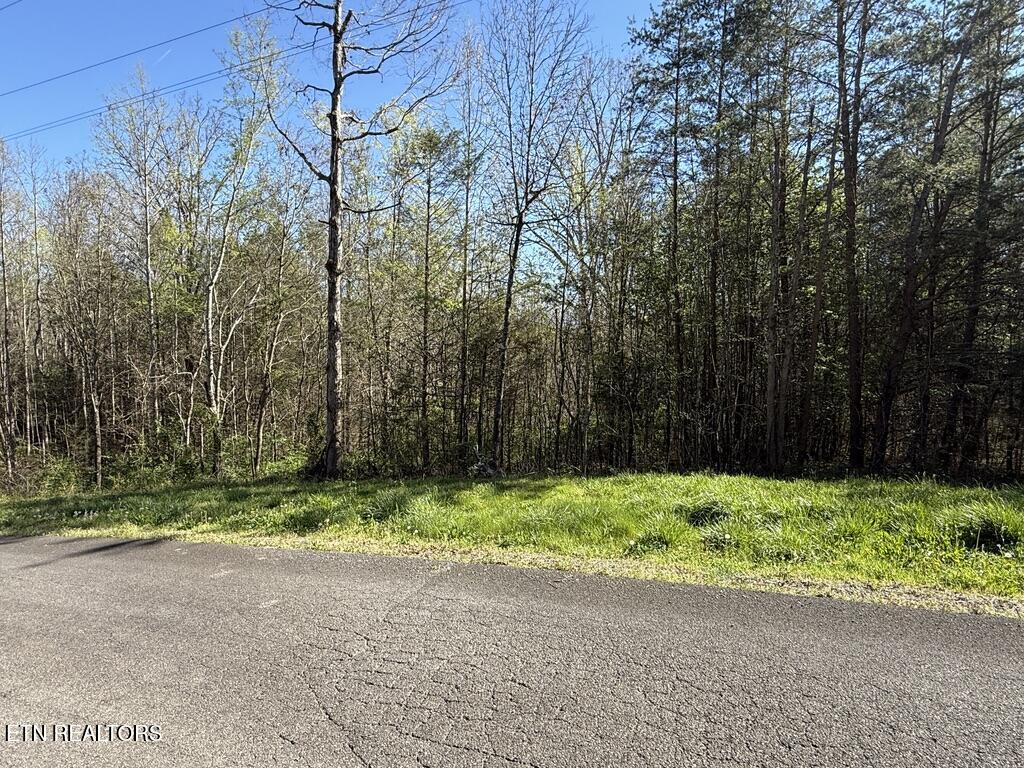 1433 Timber Trail Newport TN 37821