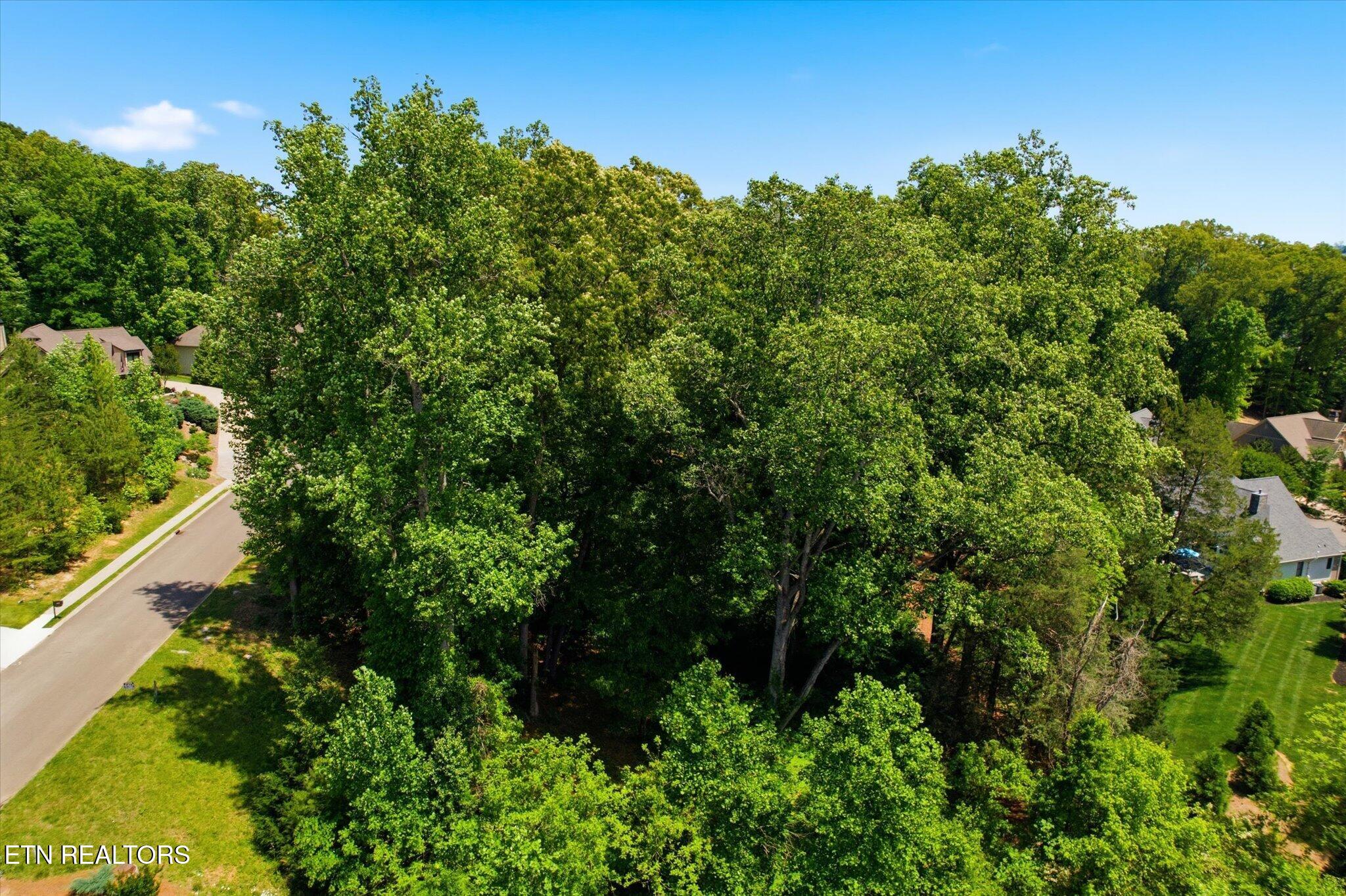 2221 Viewcrest Lane Knoxville TN 37932