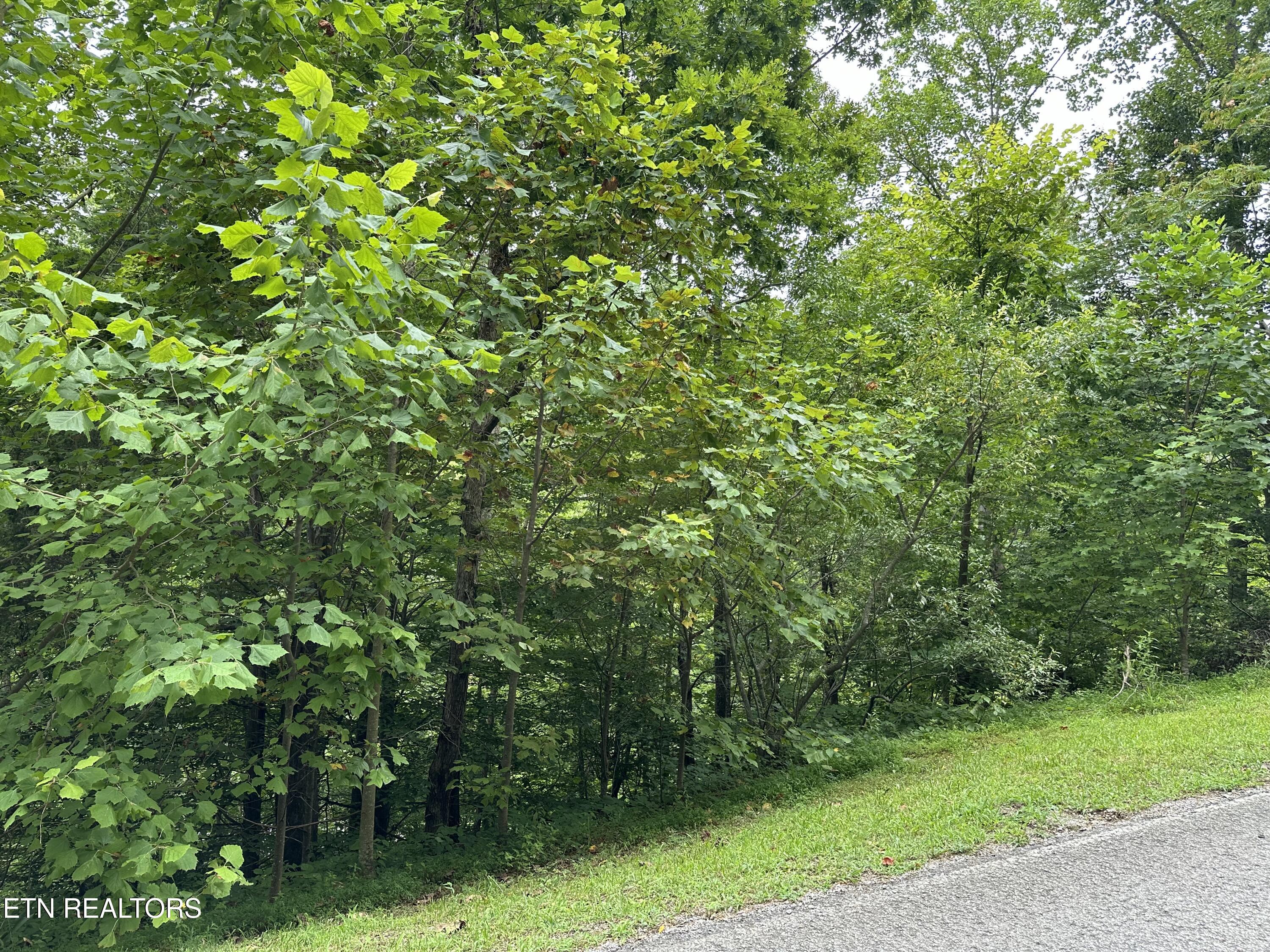 Lot 21 Ridge Road Caryville TN 37714
