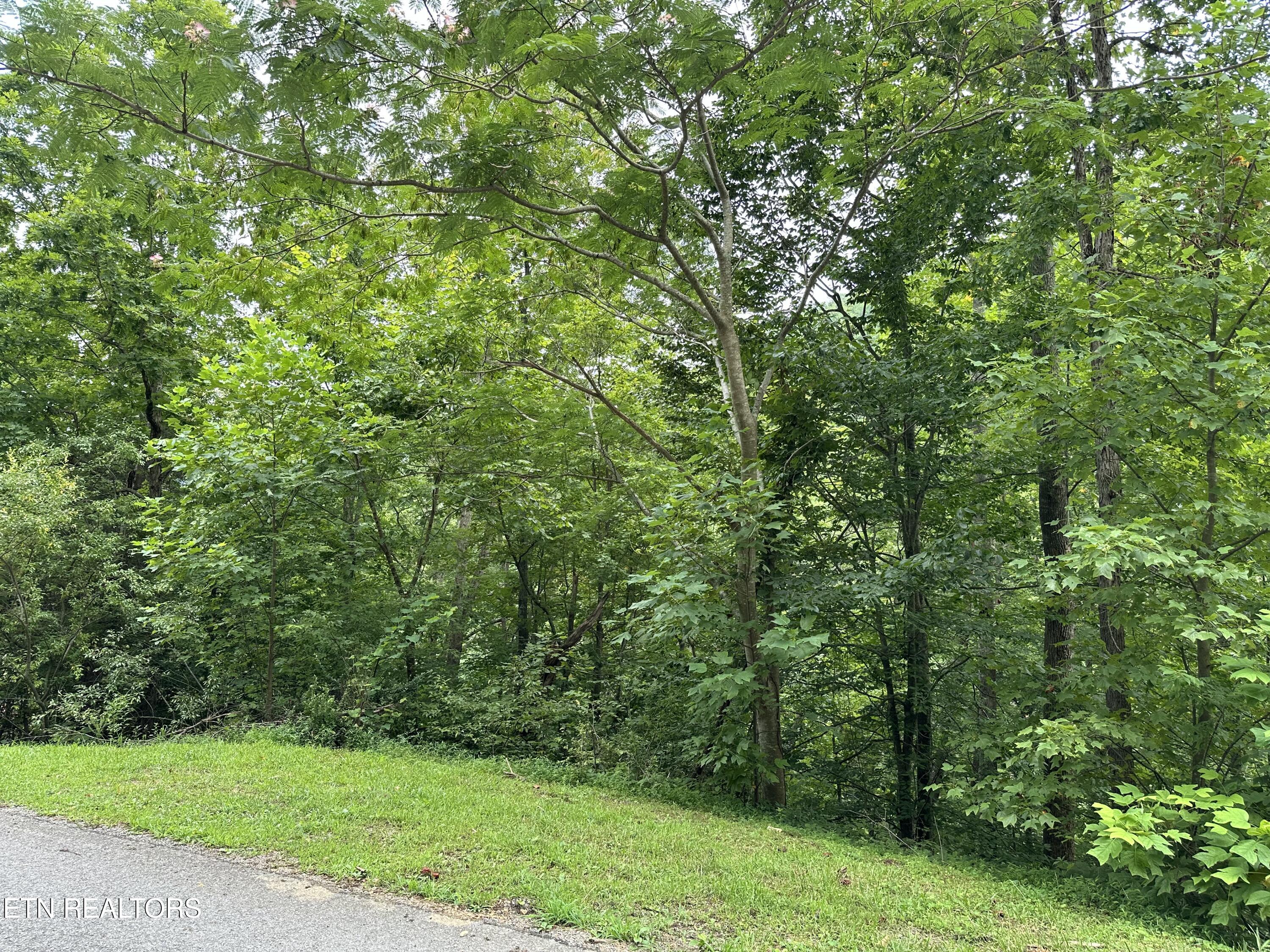 Lot 21 Ridge Road Caryville TN 37714