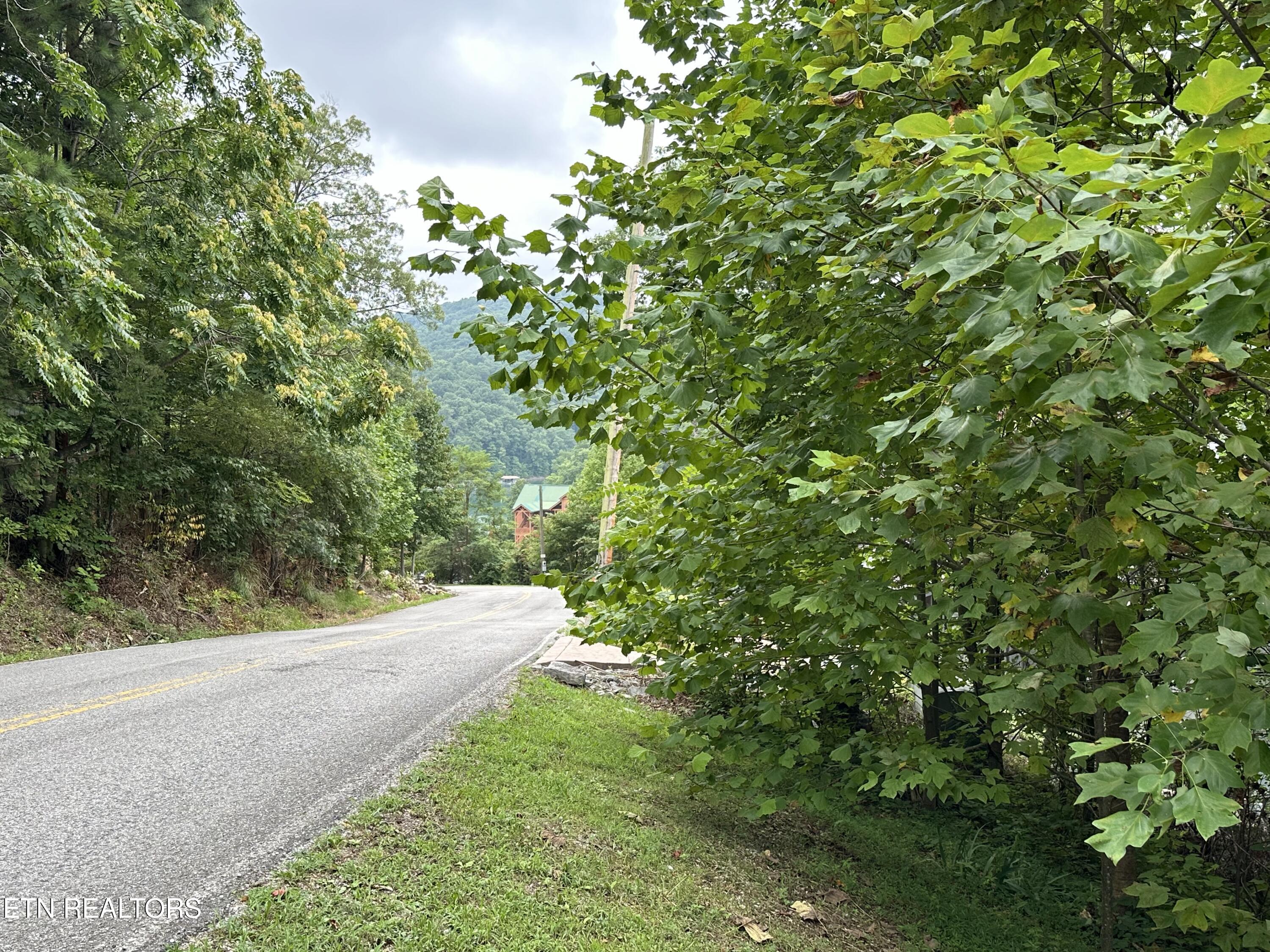 Lot 21 Ridge Road Caryville TN 37714