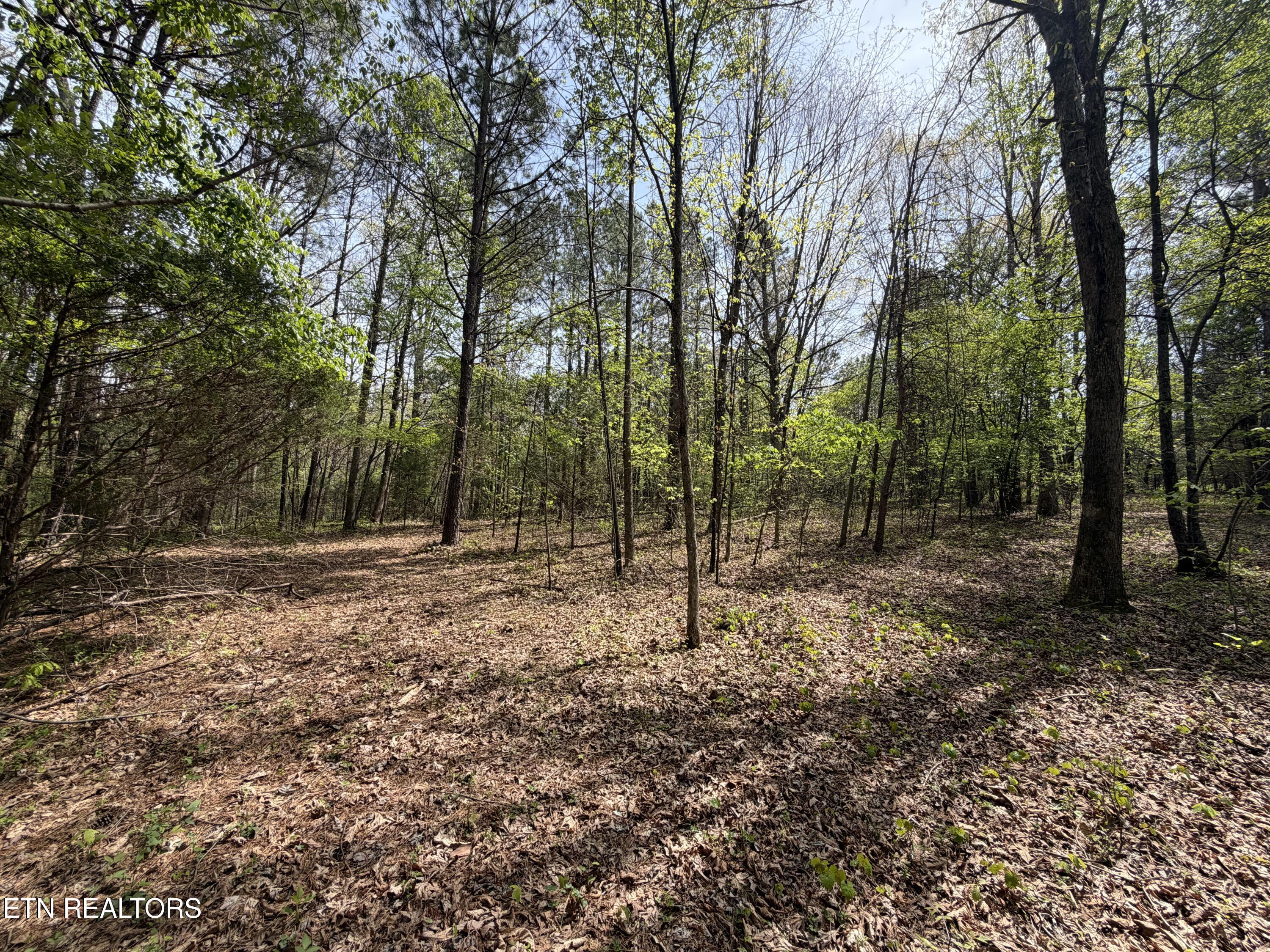 3.04 Dry Valley Road Loudon TN 37774