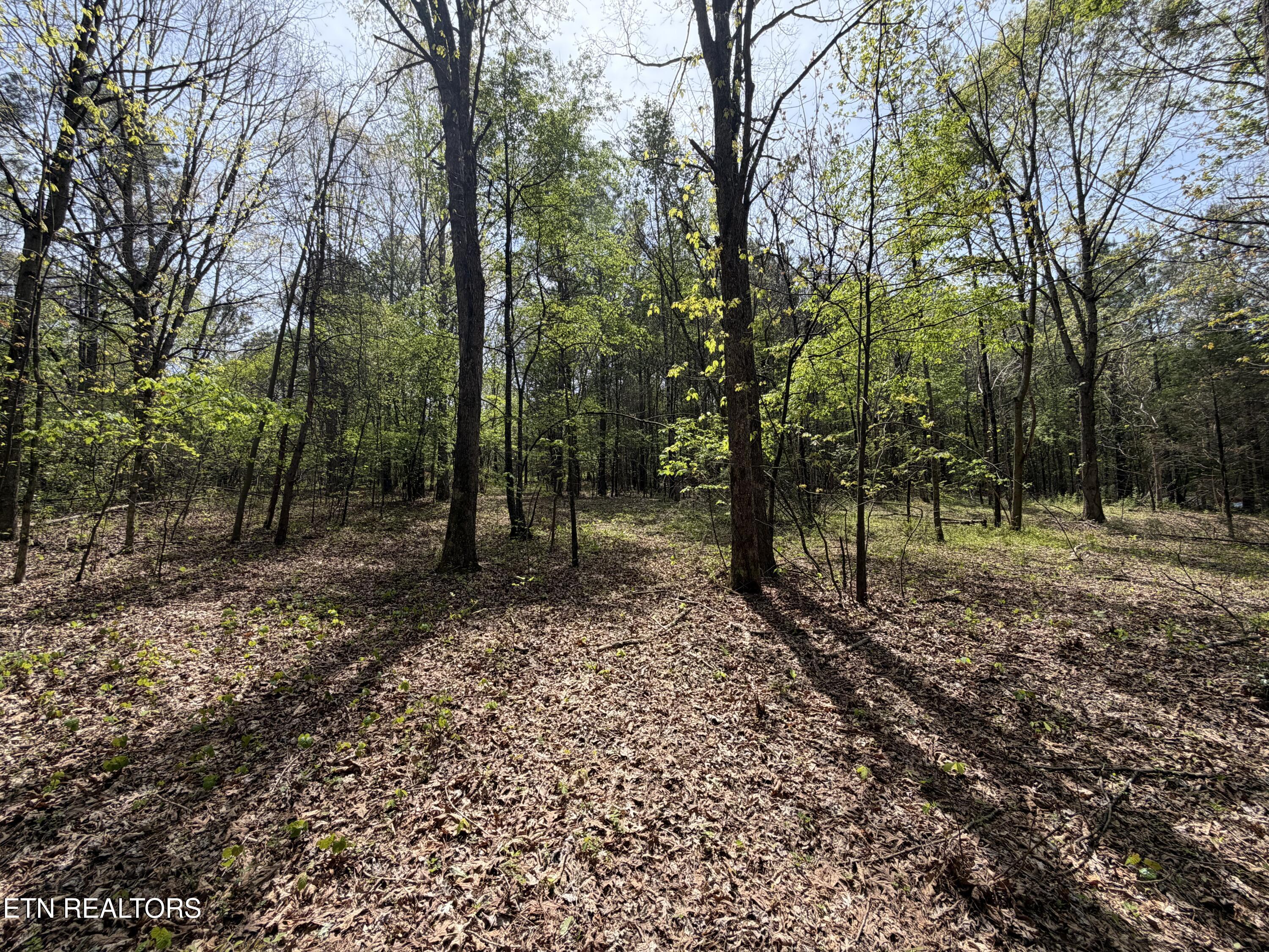 3.04 Dry Valley Road Loudon TN 37774