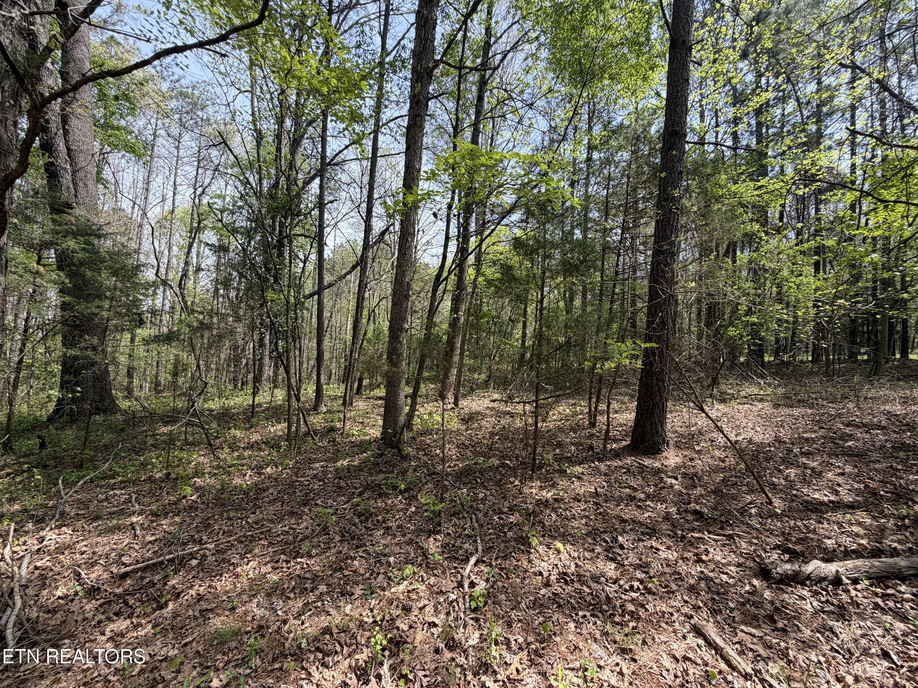 3.04 Dry Valley Road Loudon TN 37774