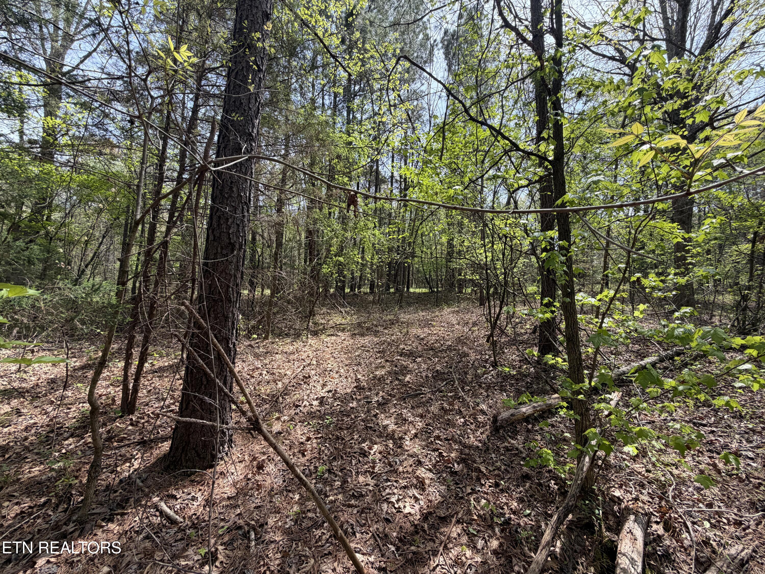 3.04 Dry Valley Road Loudon TN 37774