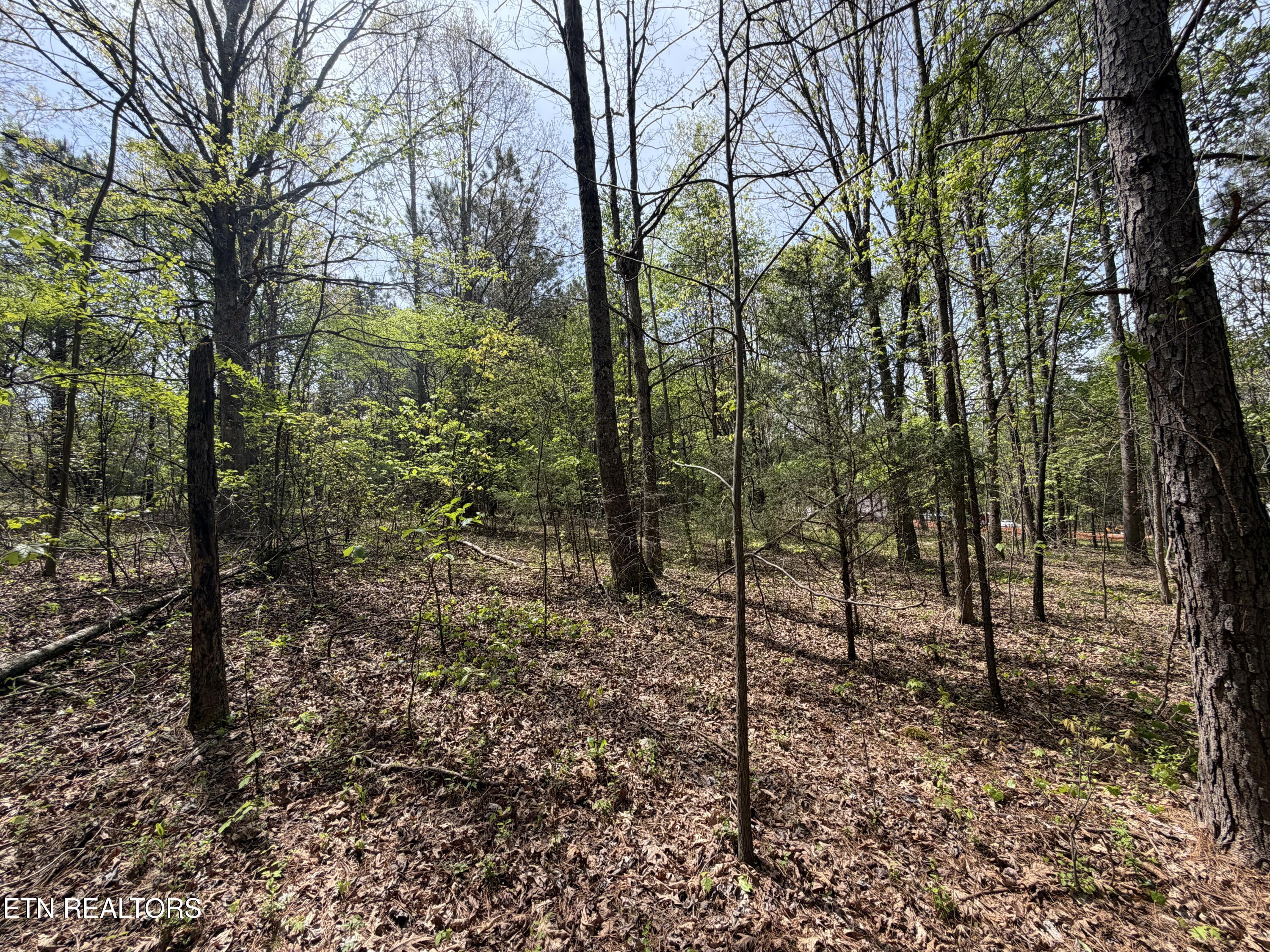 3.04 Dry Valley Road Loudon TN 37774