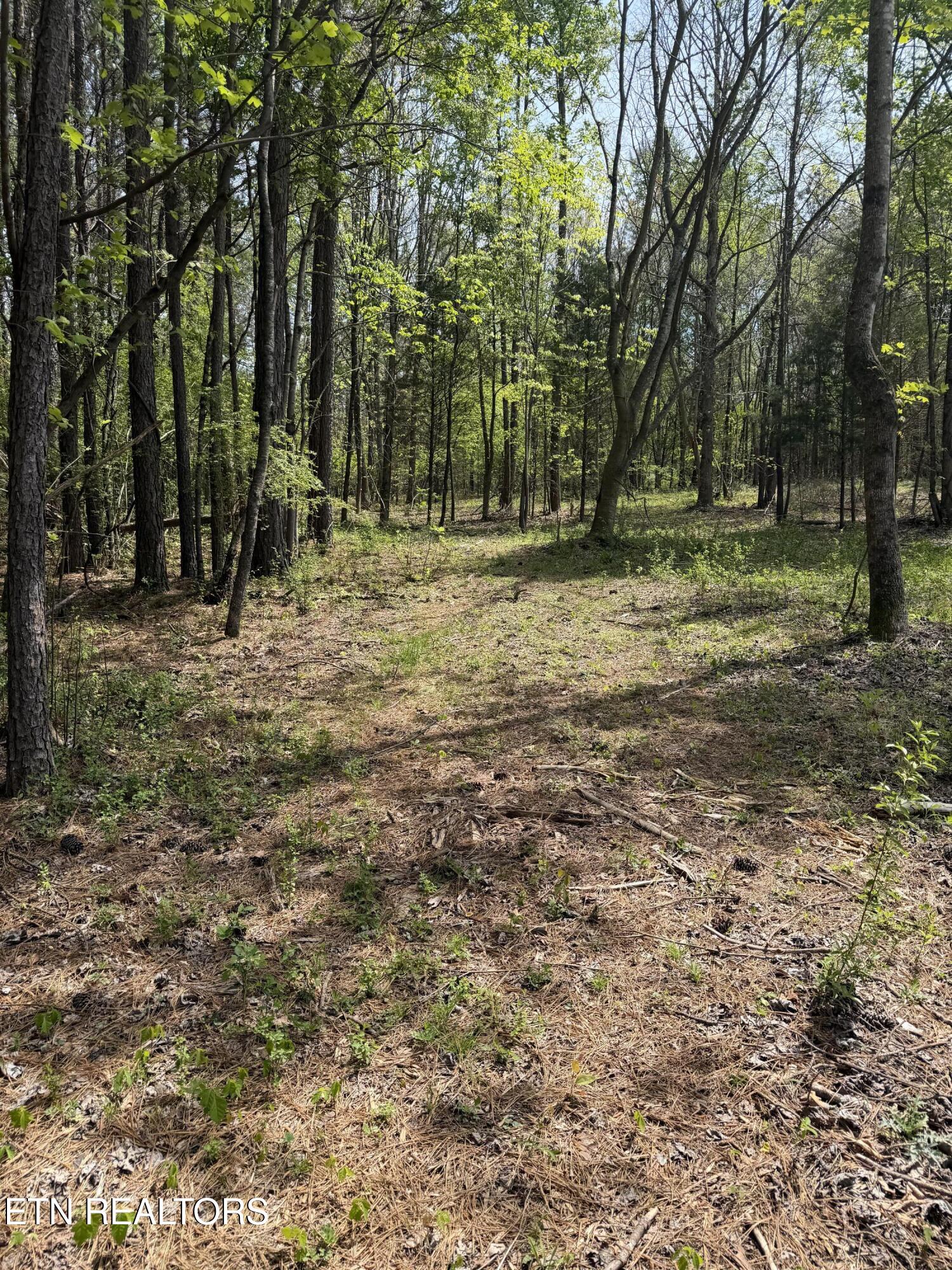 3.04 Dry Valley Road Loudon TN 37774