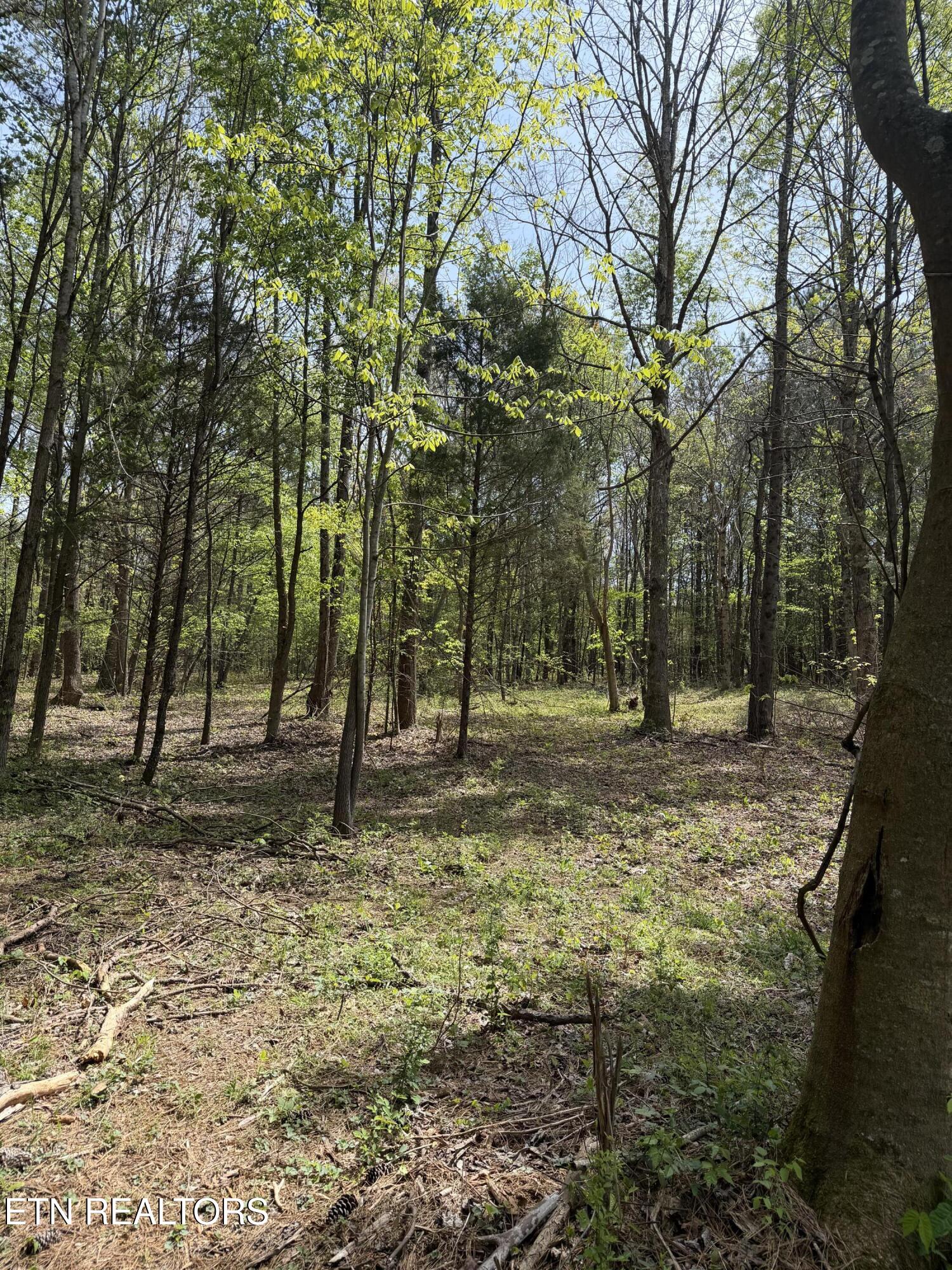 3.04 Dry Valley Road Loudon TN 37774