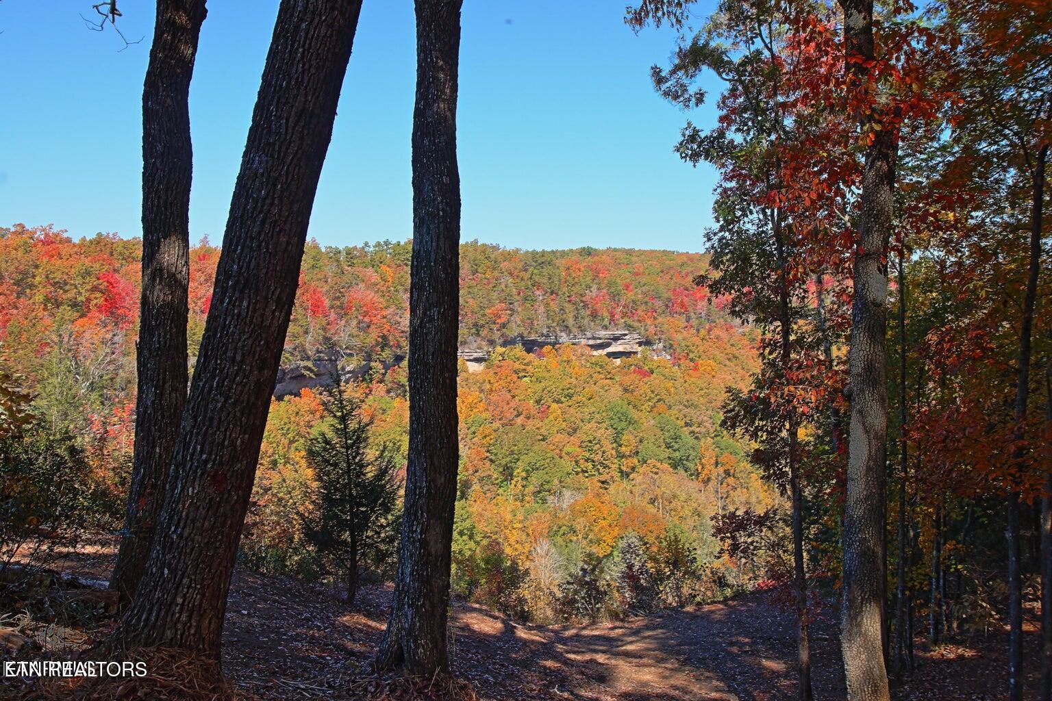 Lot 17 Emerald Drive Jamestown TN 38556