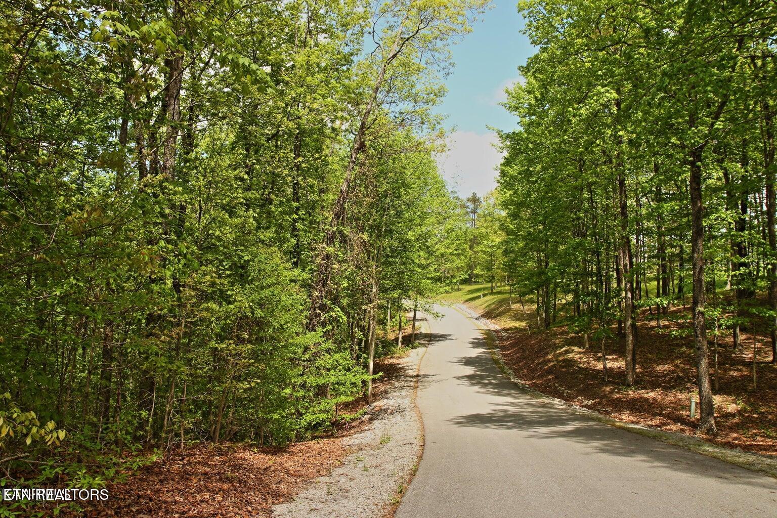 Lot 17 Emerald Drive Jamestown TN 38556