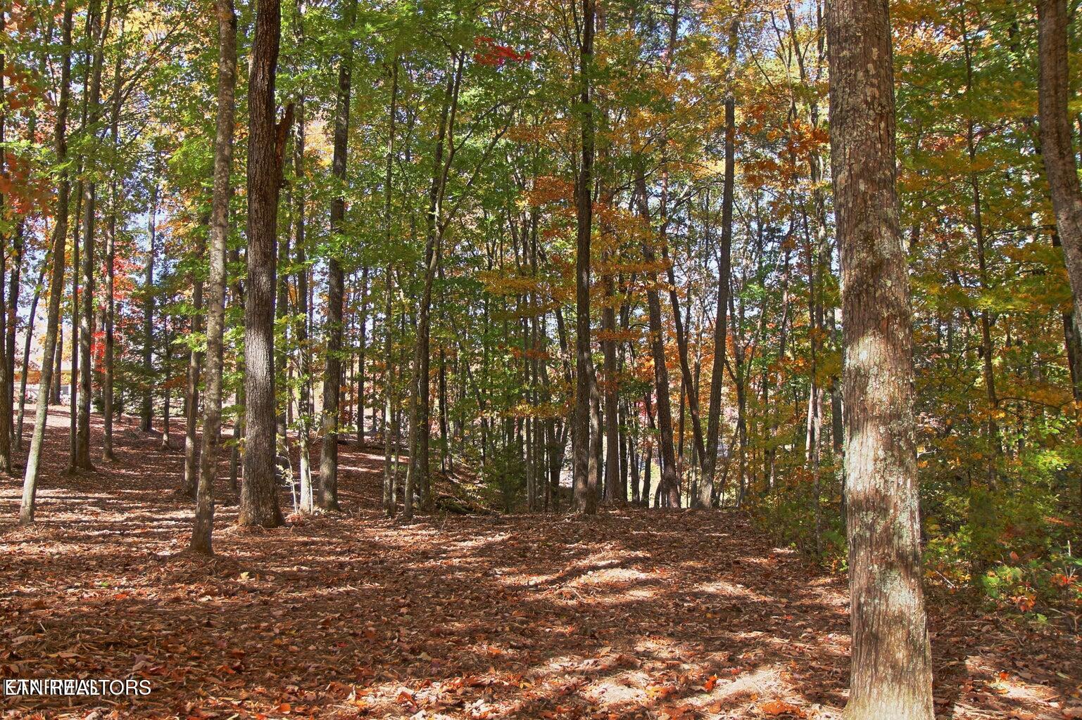 Lot 17 Emerald Drive Jamestown TN 38556