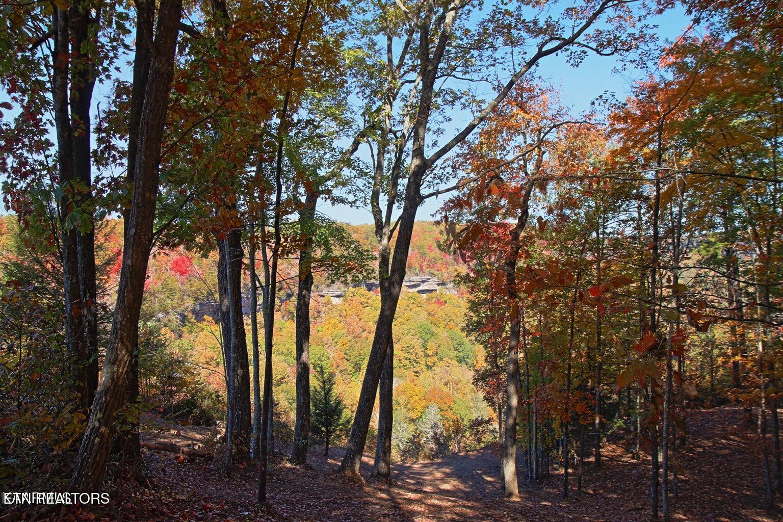 Lot 17 Emerald Drive Jamestown TN 38556