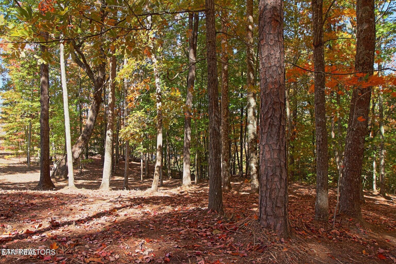Lot 17 Emerald Drive Jamestown TN 38556