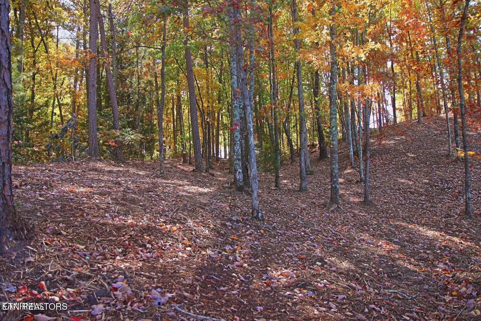 Lot 17 Emerald Drive Jamestown TN 38556