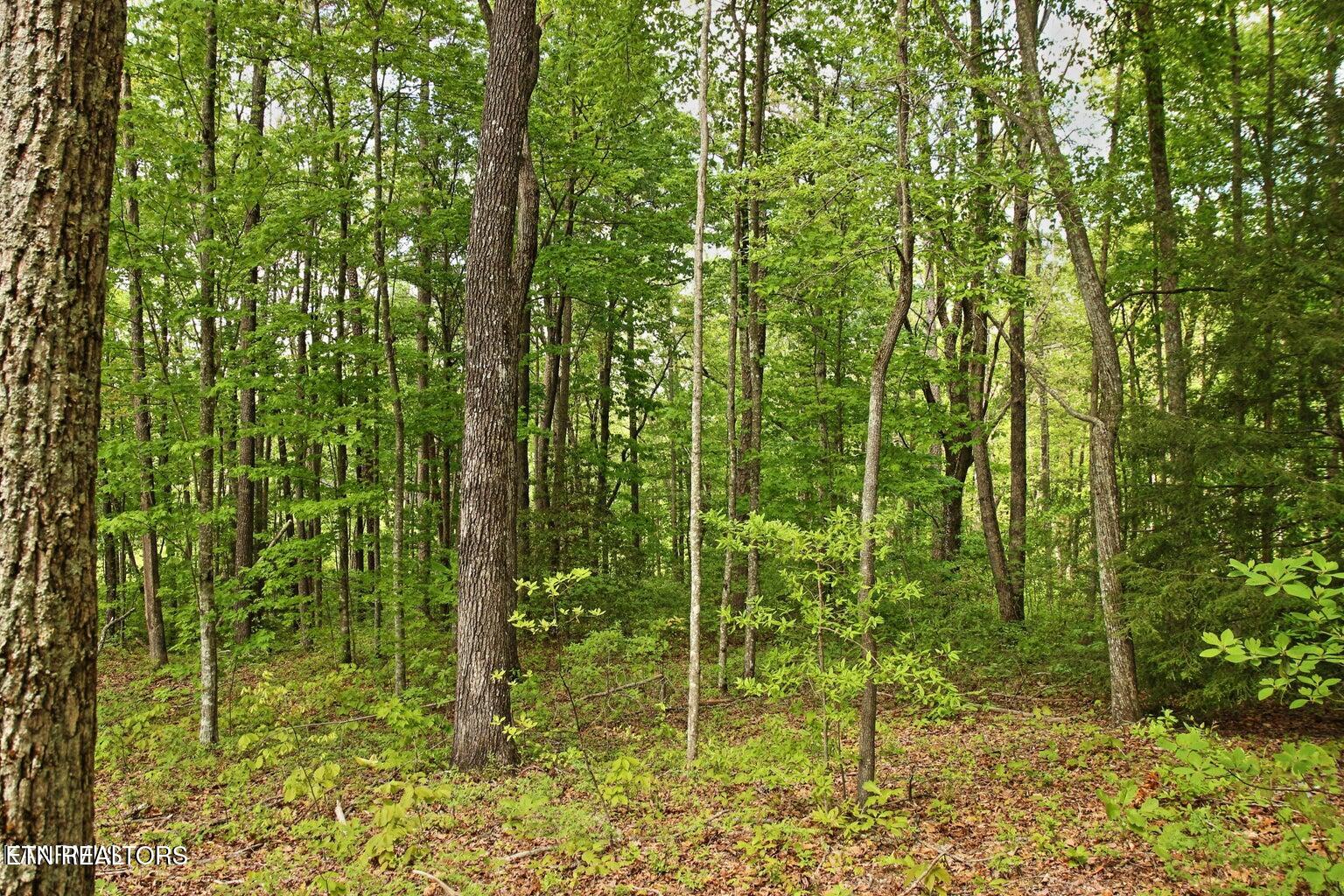 Lot 17 Emerald Drive Jamestown TN 38556