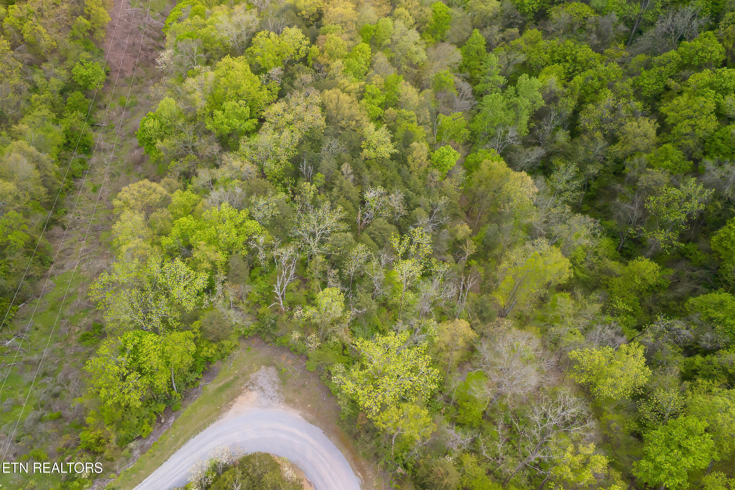 Sugar Cove Way Newport TN 37821