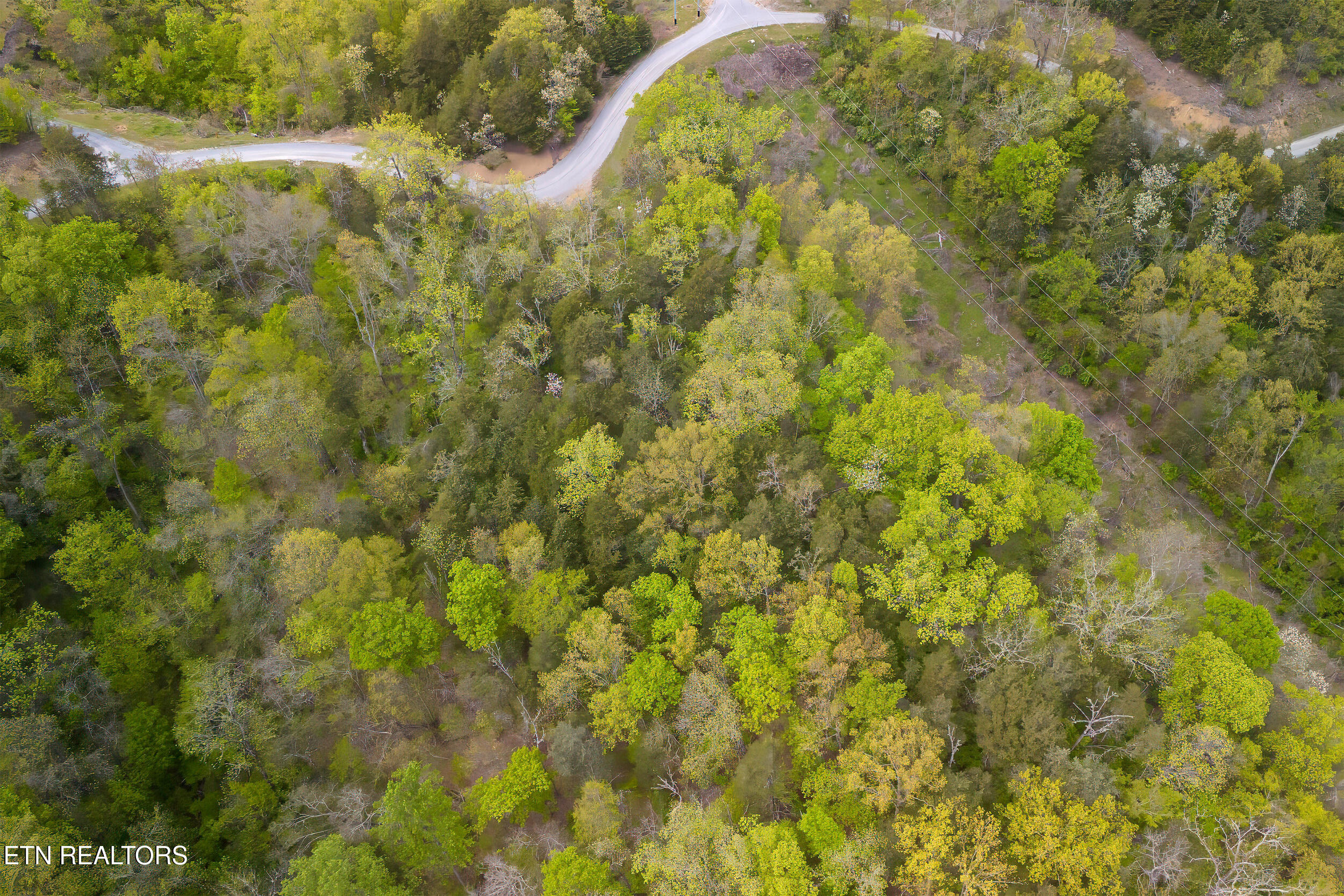 Sugar Cove Way Newport TN 37821