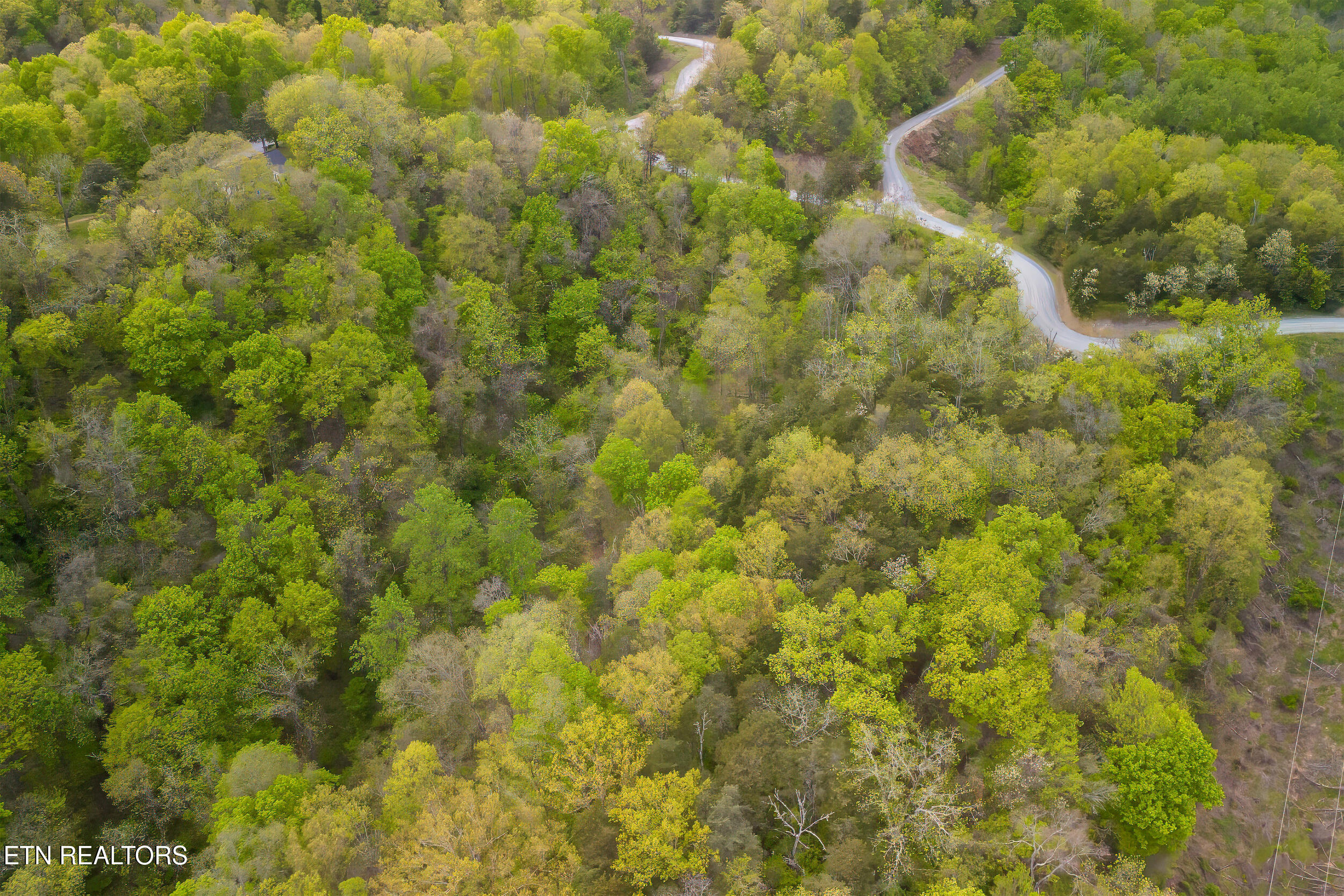 Sugar Cove Way Newport TN 37821