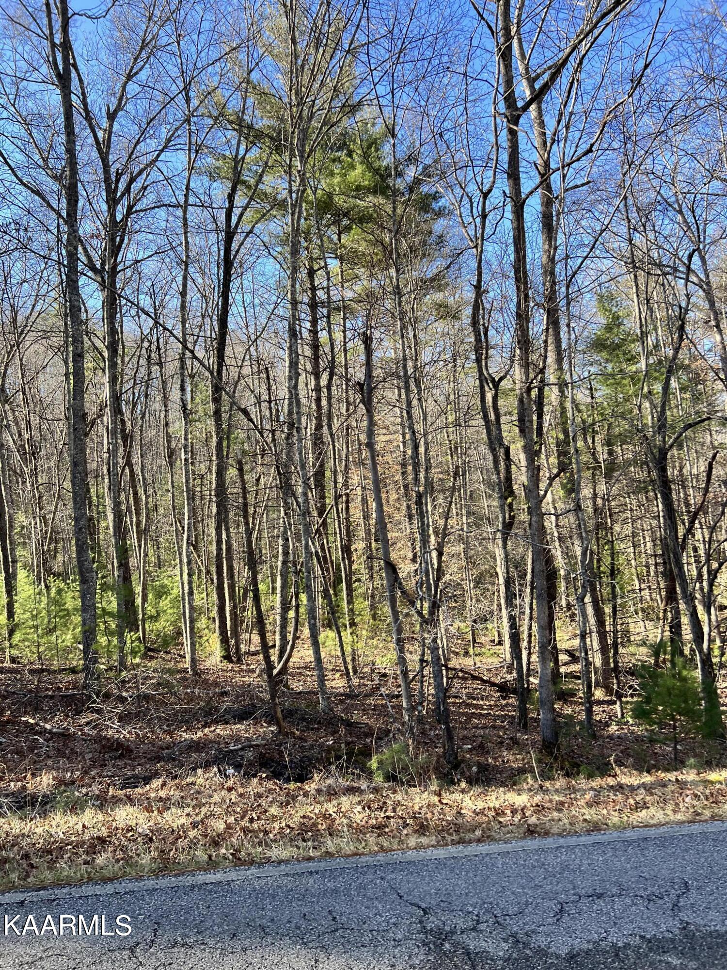 139 Rotherham Drive Crossville TN 38558
