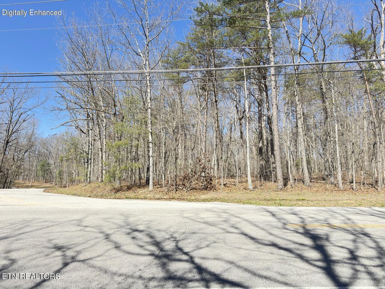 175 Brambleton Drive Crossville TN 38558