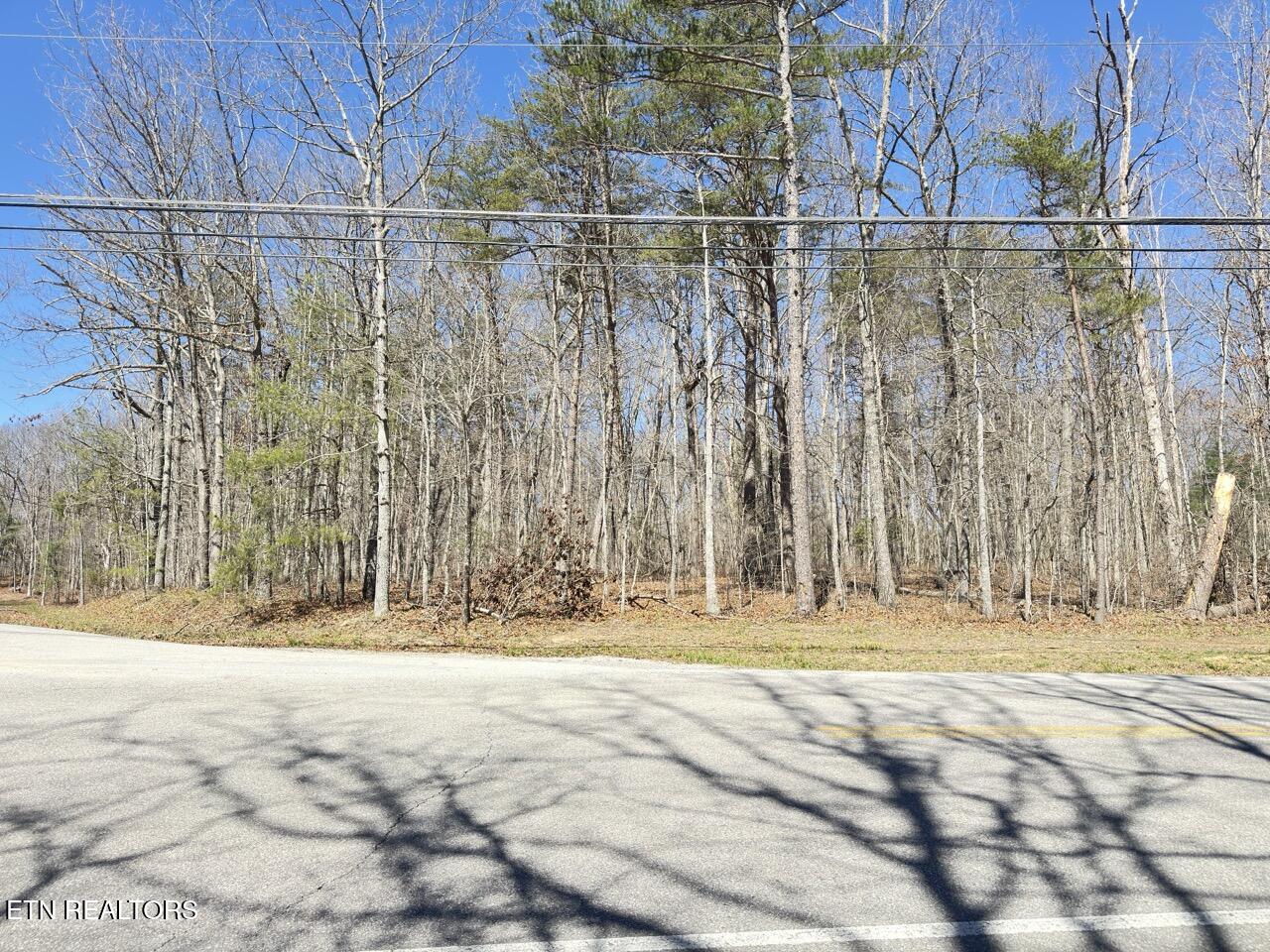 175 Brambleton Drive Crossville TN 38558