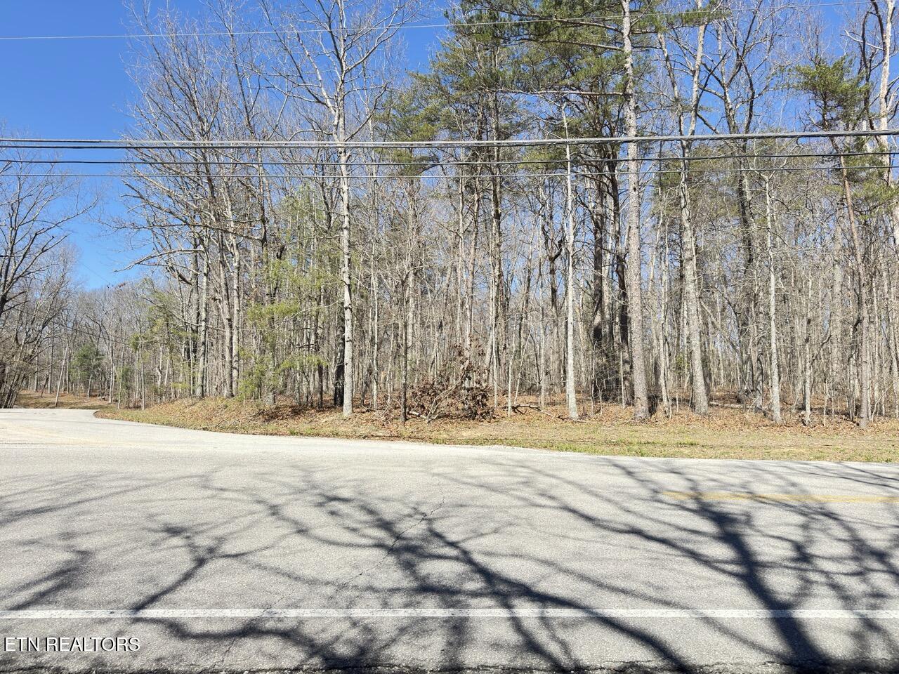 175 Brambleton Drive Crossville TN 38558