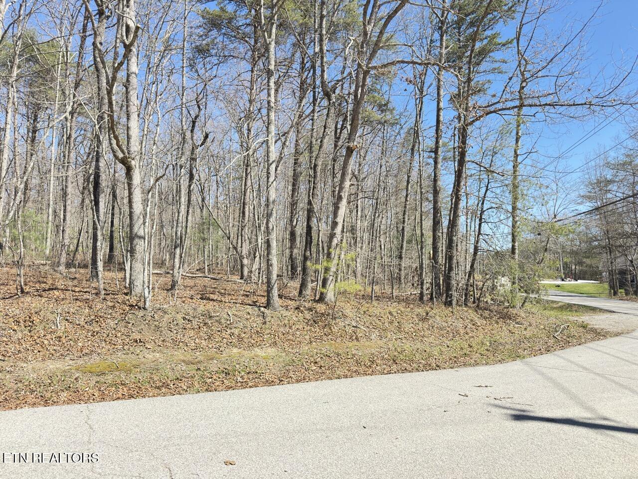 175 Brambleton Drive Crossville TN 38558
