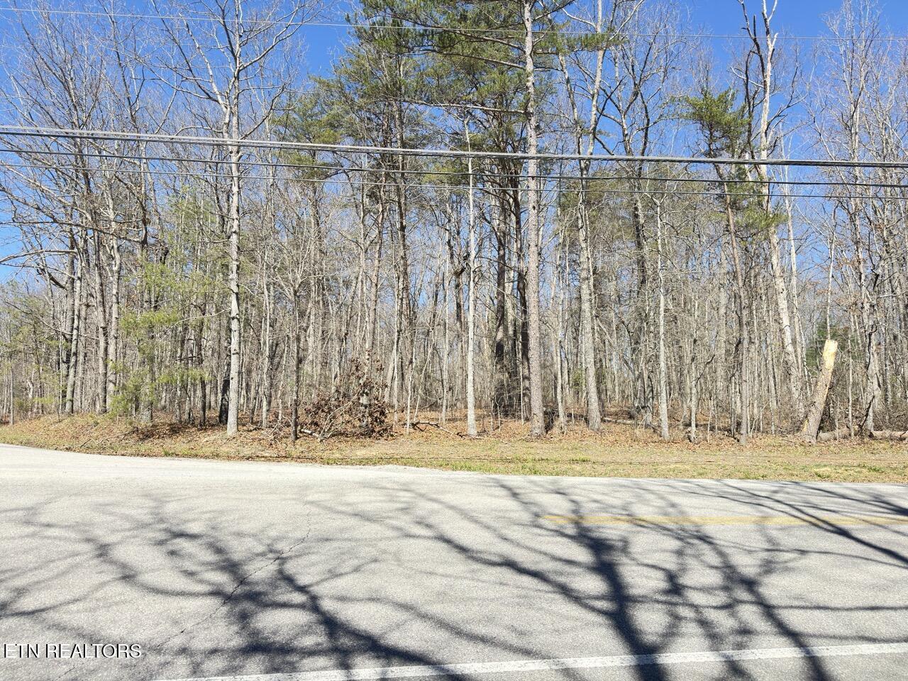 175 Brambleton Drive Crossville TN 38558