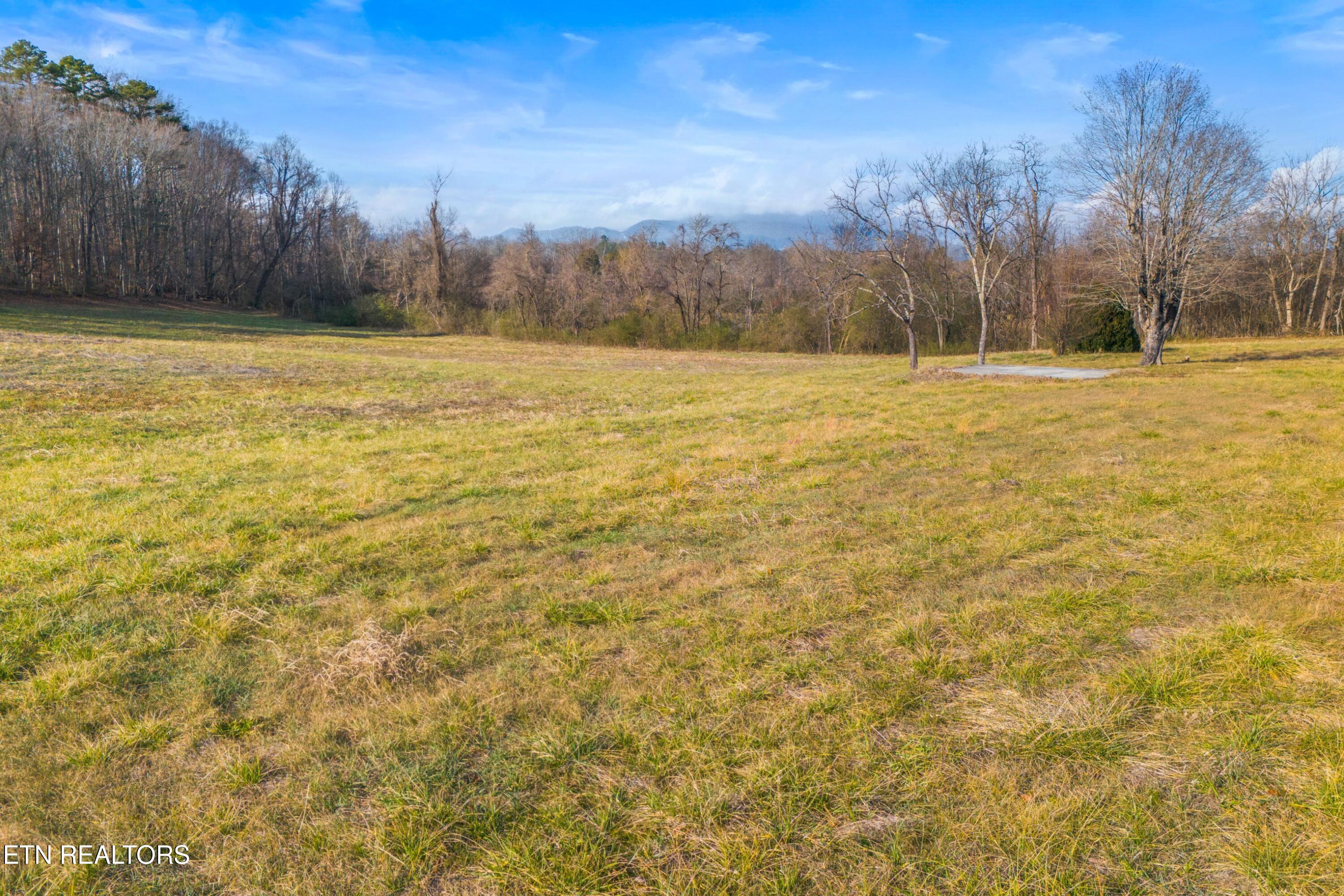 4121 Chavis Road Cosby TN 37722