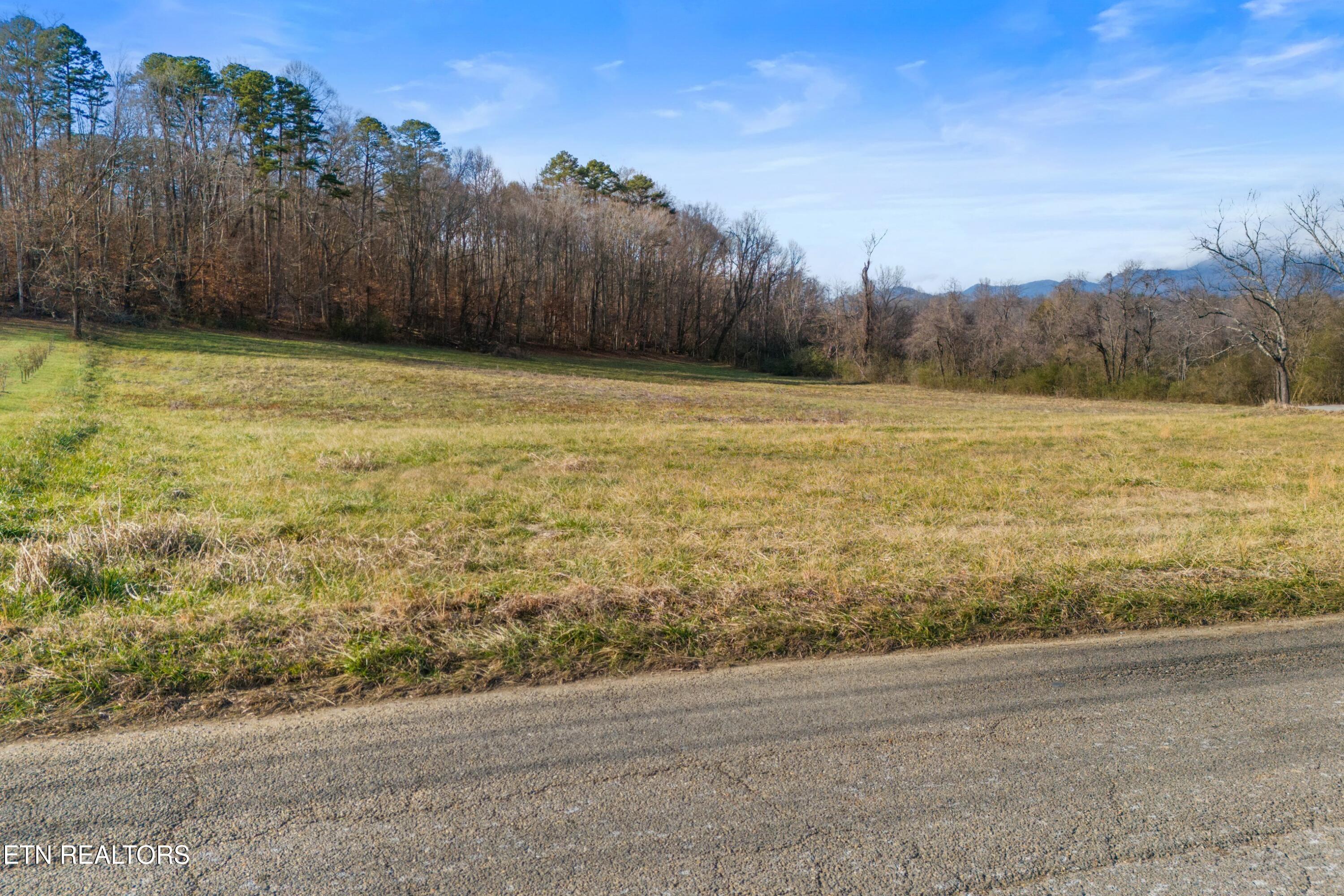 4121 Chavis Road Cosby TN 37722