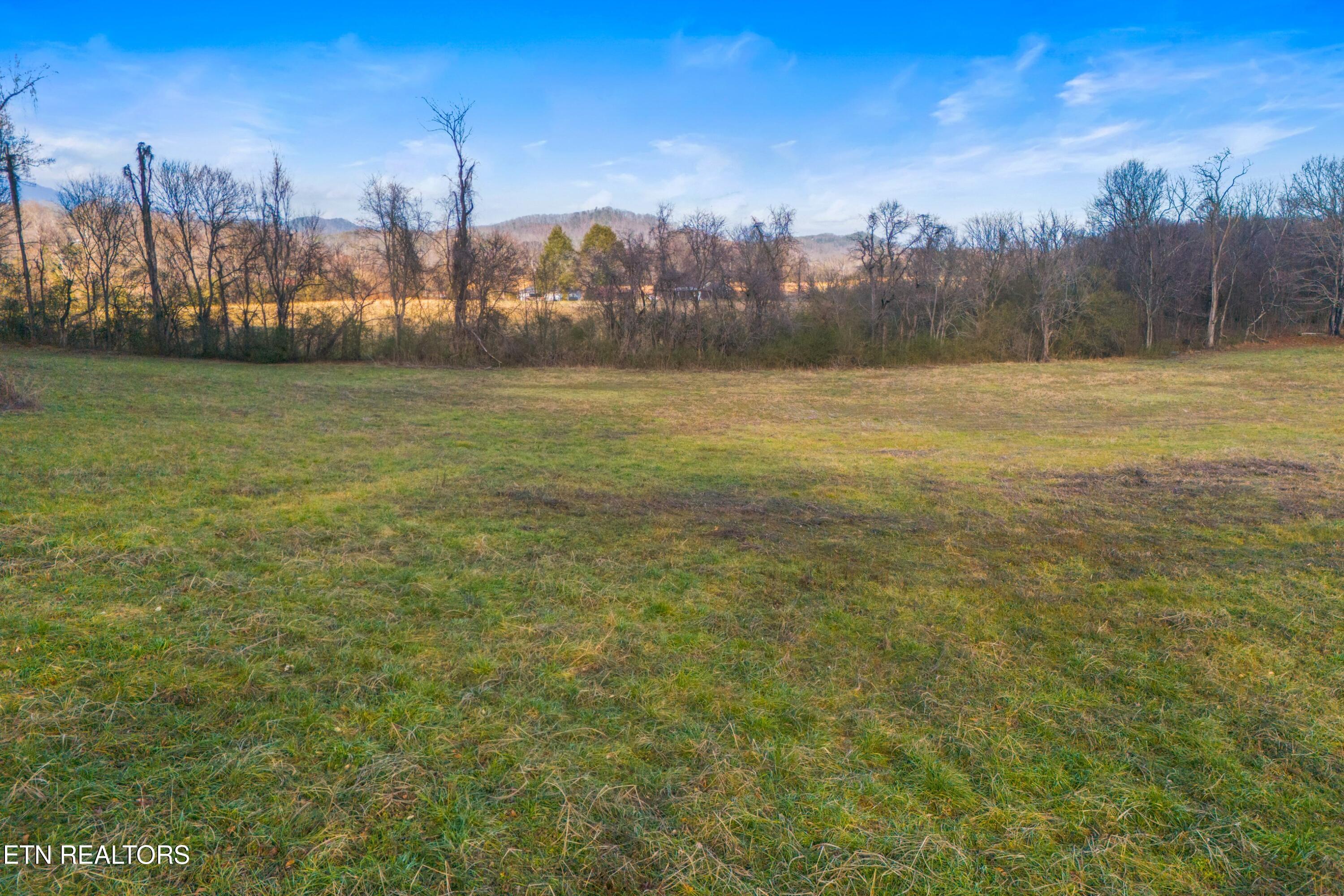 4121 Chavis Road Cosby TN 37722