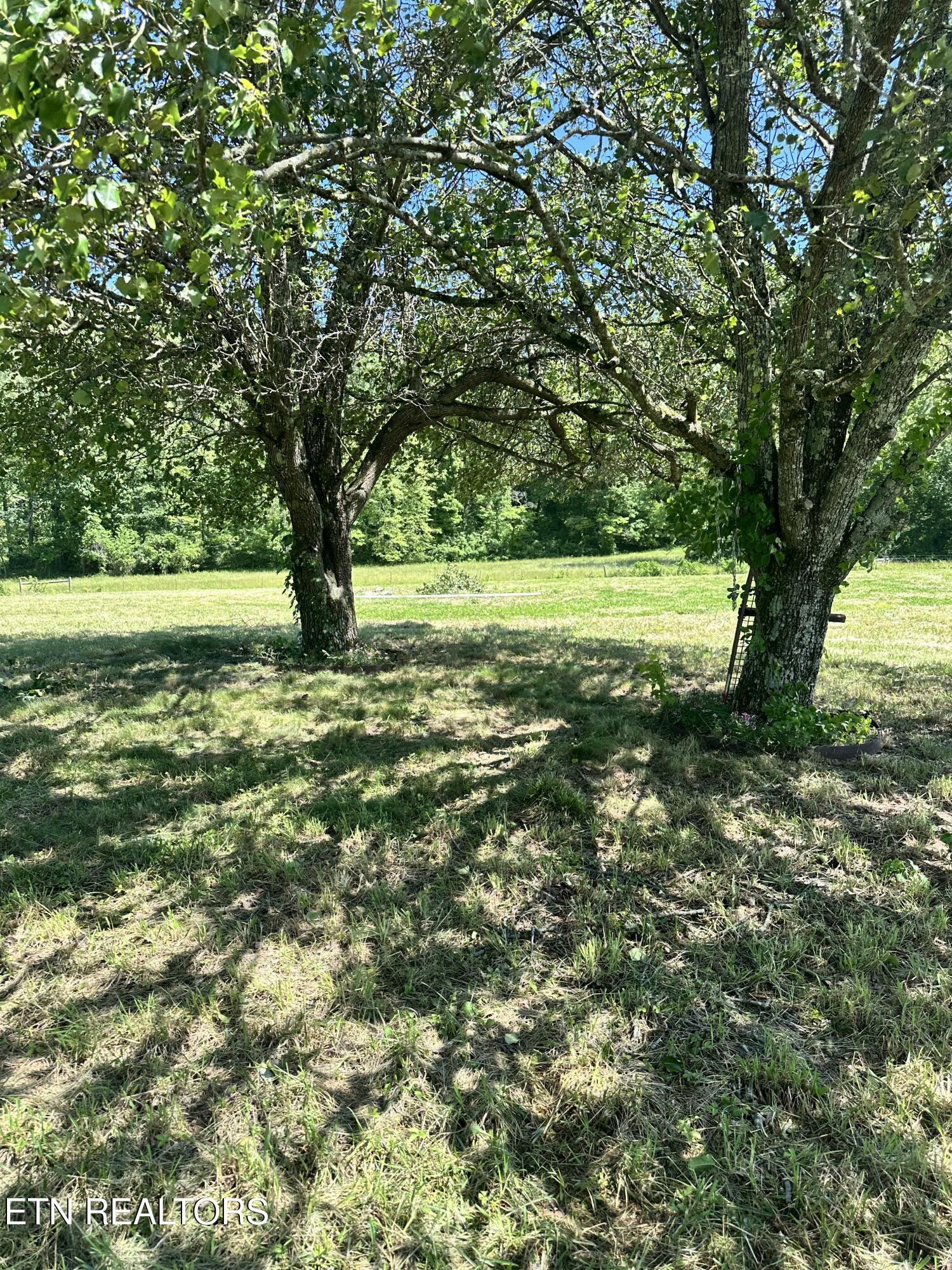 3169 Hinds Creek Road Heiskell TN 37754