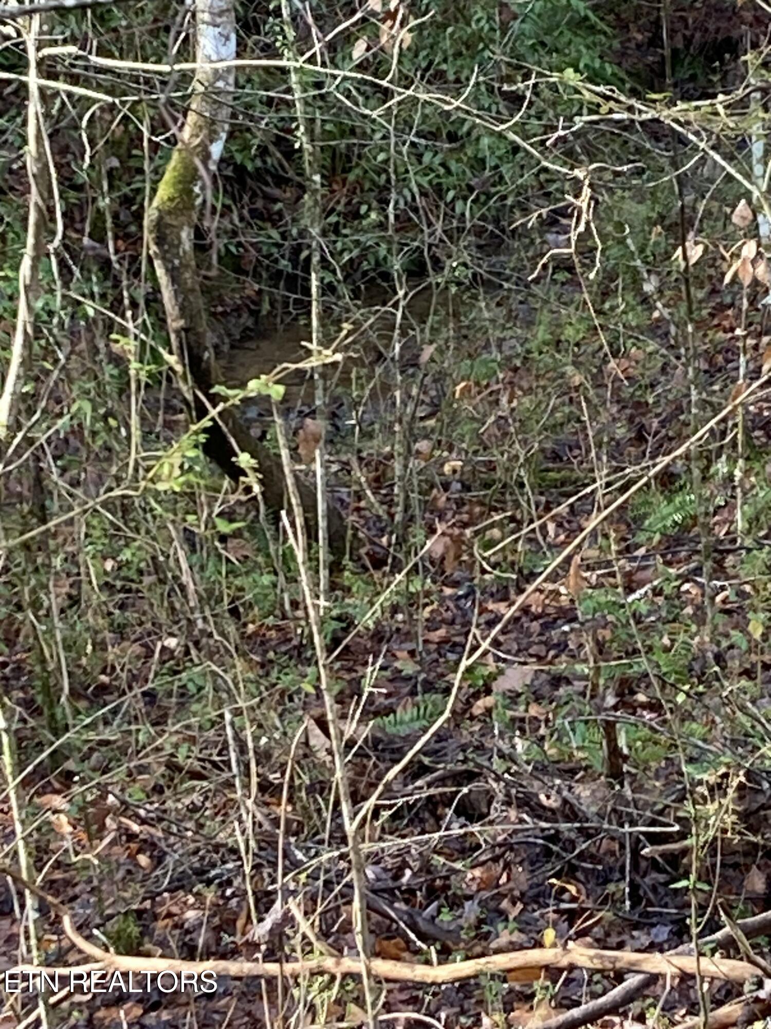 Lot 53a Fiesta Boulevard Sevierville TN 37876