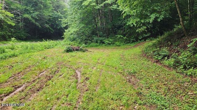 4473 Chavis Road Cosby TN 37722