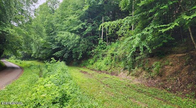 4473 Chavis Road Cosby TN 37722
