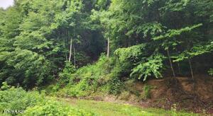 4473 Chavis Road Cosby TN 37722