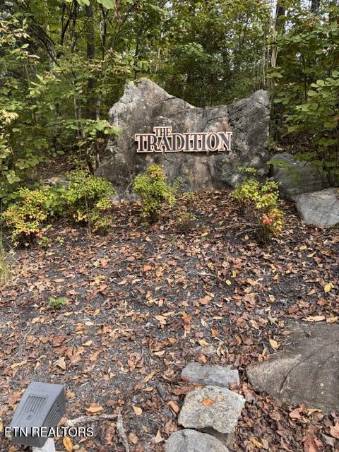 Tradition Lane Sevierville TN 37862