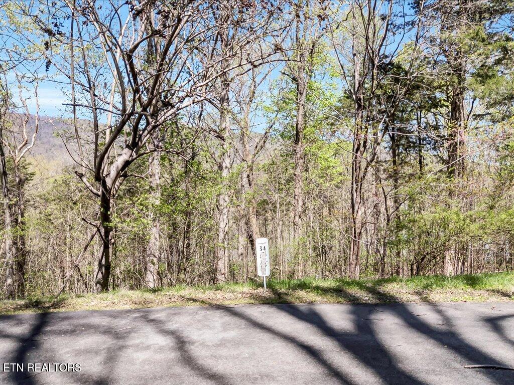 Lot 34 5 Oaks Circle Whitesburg TN 37891