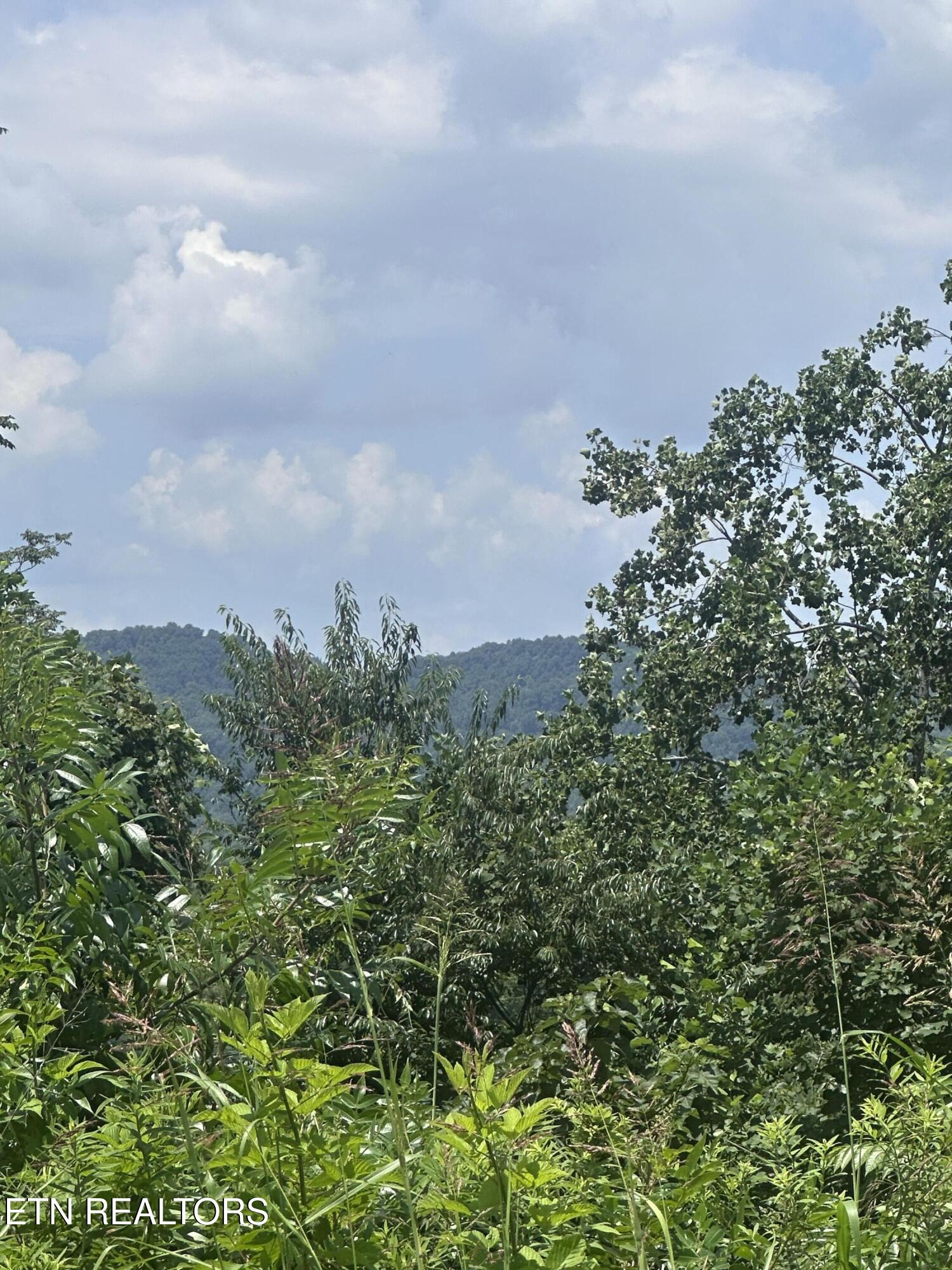 560 Low Valley Road Dandridge TN 37725