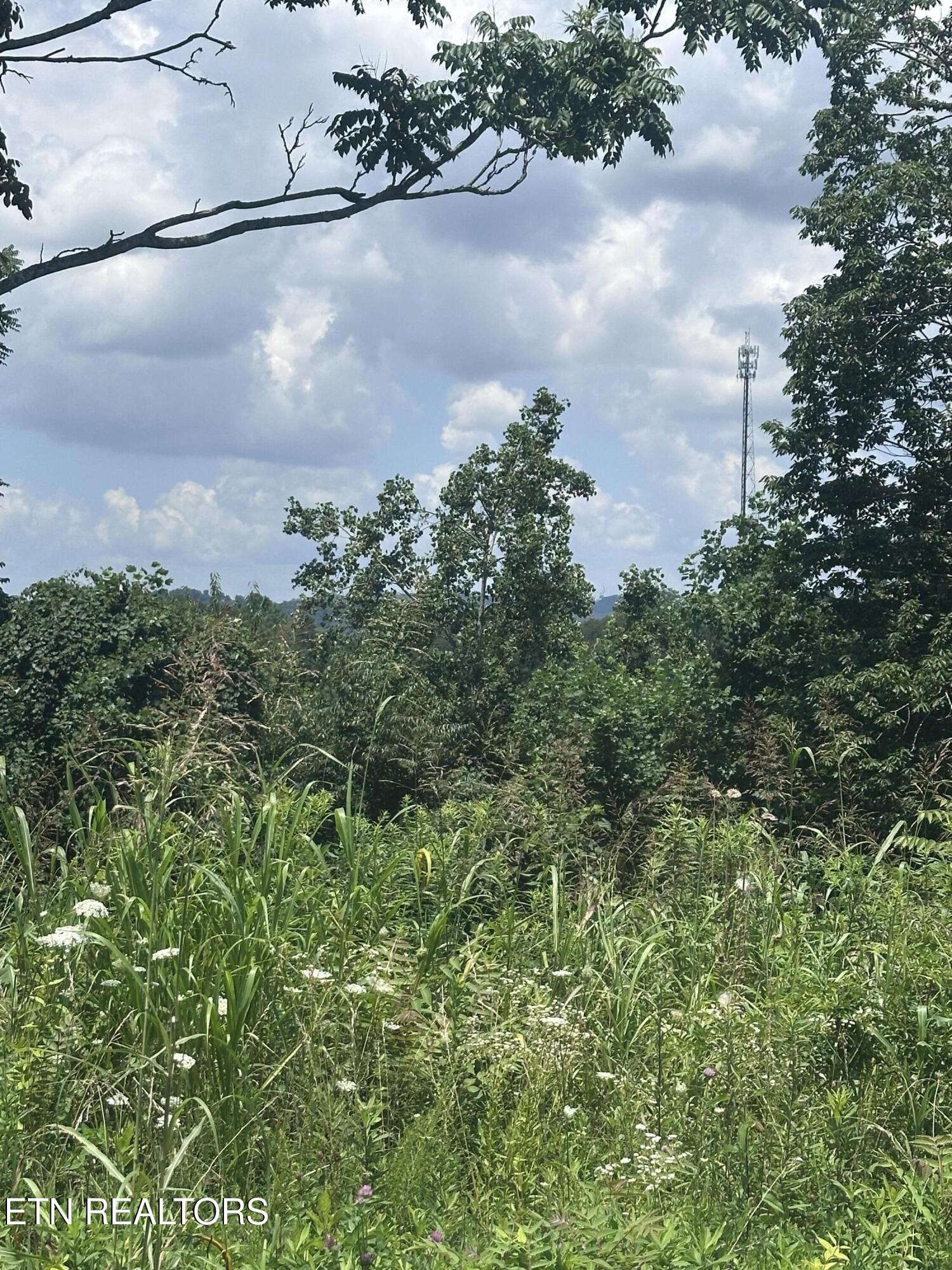 560 Low Valley Road Dandridge TN 37725