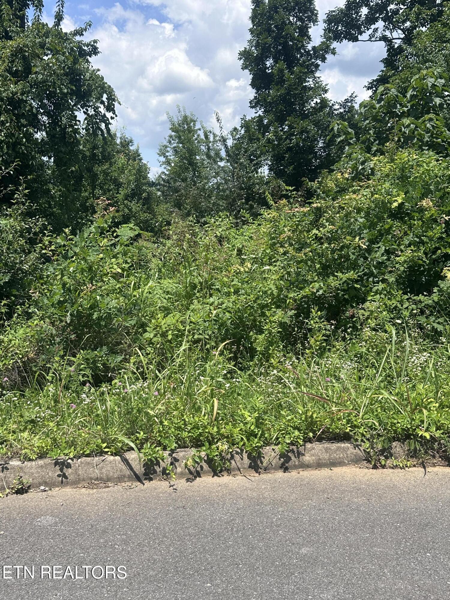 560 Low Valley Road Dandridge TN 37725