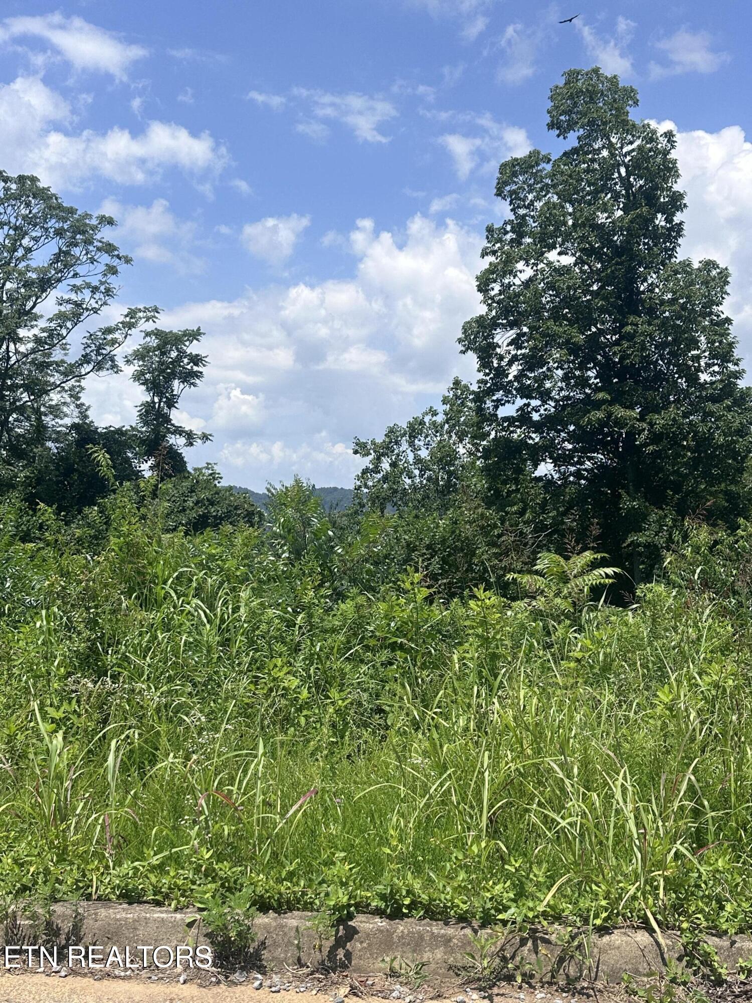 560 Low Valley Road Dandridge TN 37725